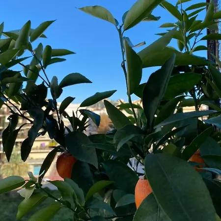 Lägenhet Vico Homesuite Milazzo