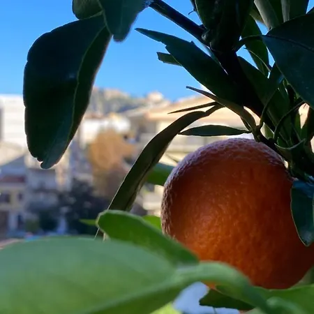 Lägenhet Vico Homesuite